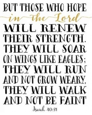 Isaiah 40-31 Photo
